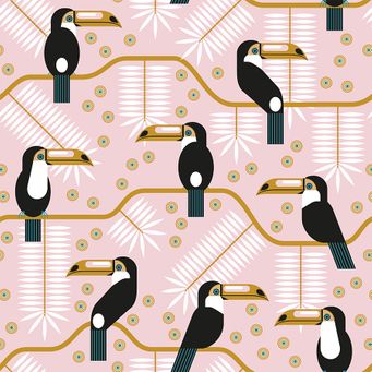 toucans on pink